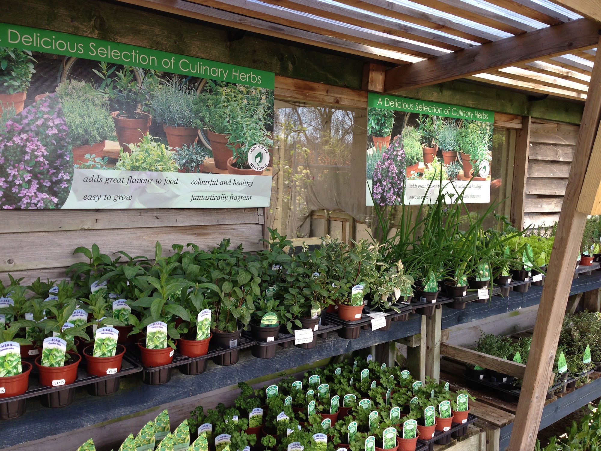 Plants Russells Garden Centre