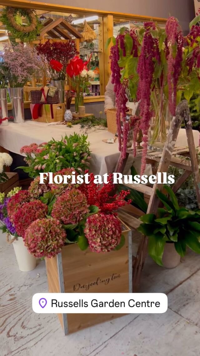 We have a special request for all our lovely Facebook and Instagram friends! Please join us at Russells garden centre to give  a warm welcome to our talented new florist, Hannah!

I’ve known Hannah since she was a little girl, and it’s been a joy to watch her blossom into such a creative and skilled young lady. Her hand-tied flower bouquets are simply stunning, and her festive wreaths are crafted entirely from scratch—how clever is that?!

Prices start at just £10, so there’s something for everyone. Thank you, as always, for your incredible support—Hannah is so excited to share her creations with you!

Pop in and see her beautiful work soon! 🌷🎄